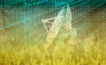 SXSW :   Digital doubt, worried about unplugging ?  Some of this years film themes examine the digital revolution on our daily lives.