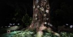 Arbor Day : Elizabeth Klein : the Evolution of an Idea