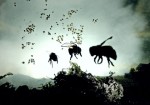 Kickstarter Project : Vanishing of the Bees : Educational Version