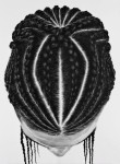 So Yoon Lym’s Cornrows: Paintings of Hair & Braids