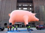 Pink Floyd’s PR Stunt Recycles Animals