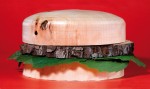 The McForest: The Meatless Burger by Sarah Illenberger